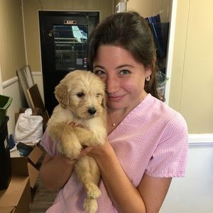 Meet your Posher, Maggie